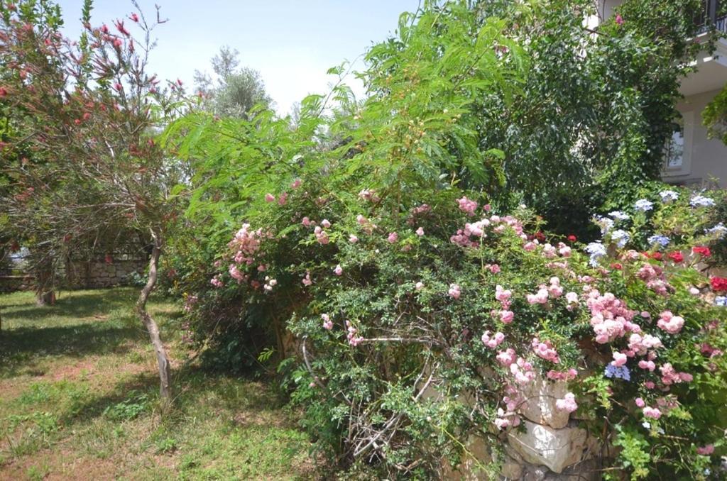 Villa Leton Kleo - Kalkan Center Екстериор снимка